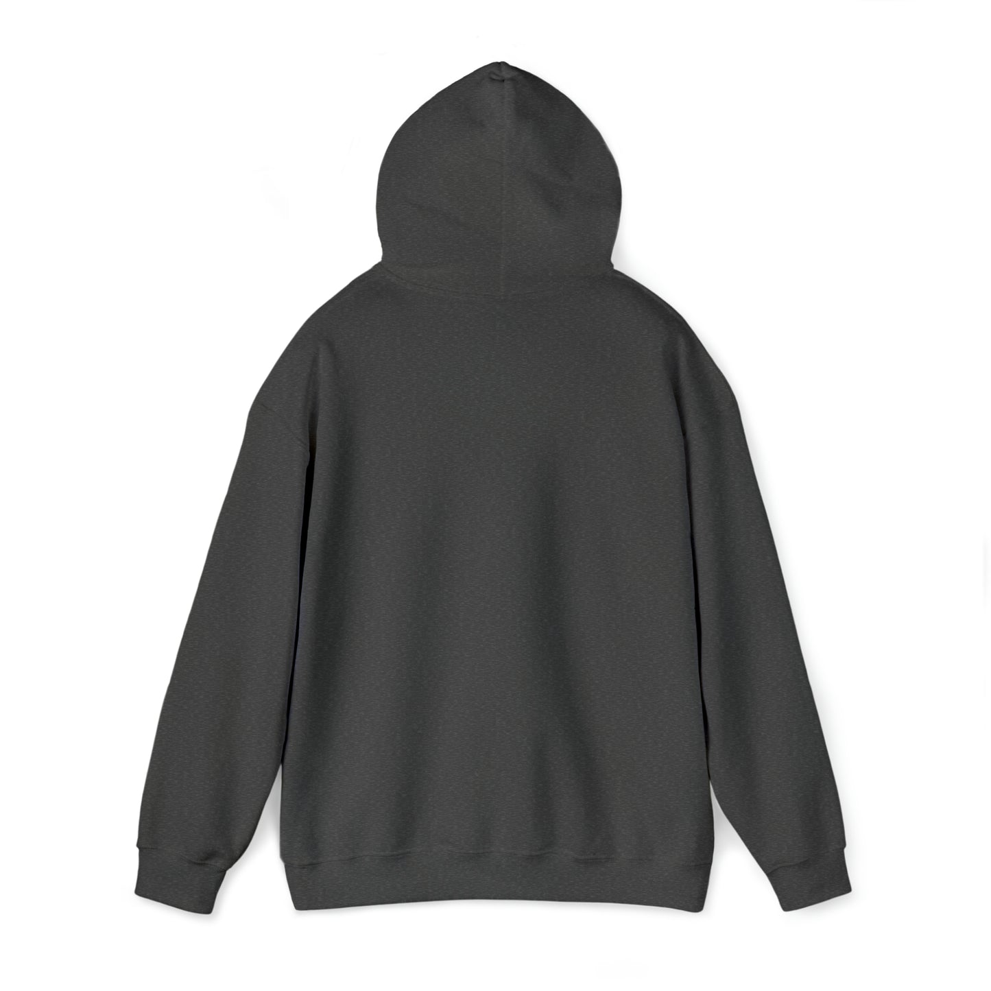 Men's Hoodie Founders Mountain